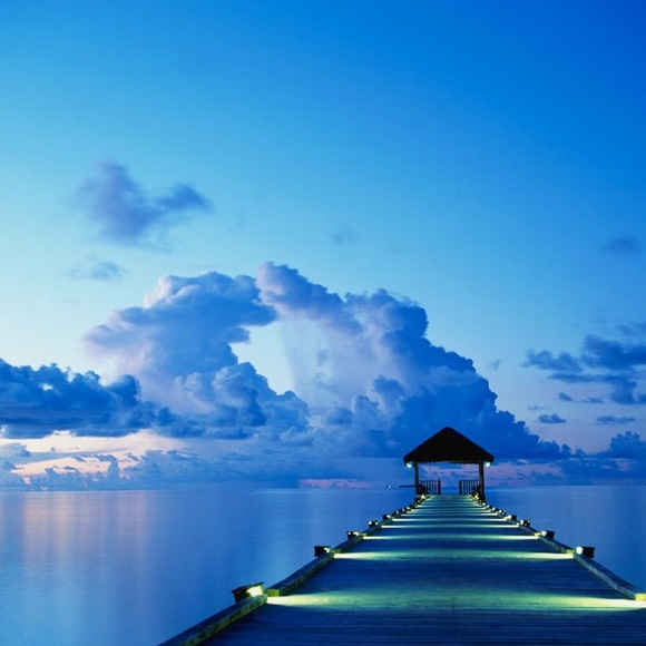 Meet your Posher, Zoey - Picture 1 of 1